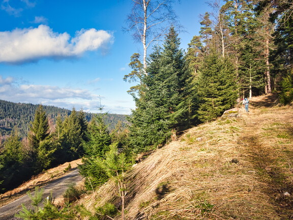 20220205202125-58d68ee0